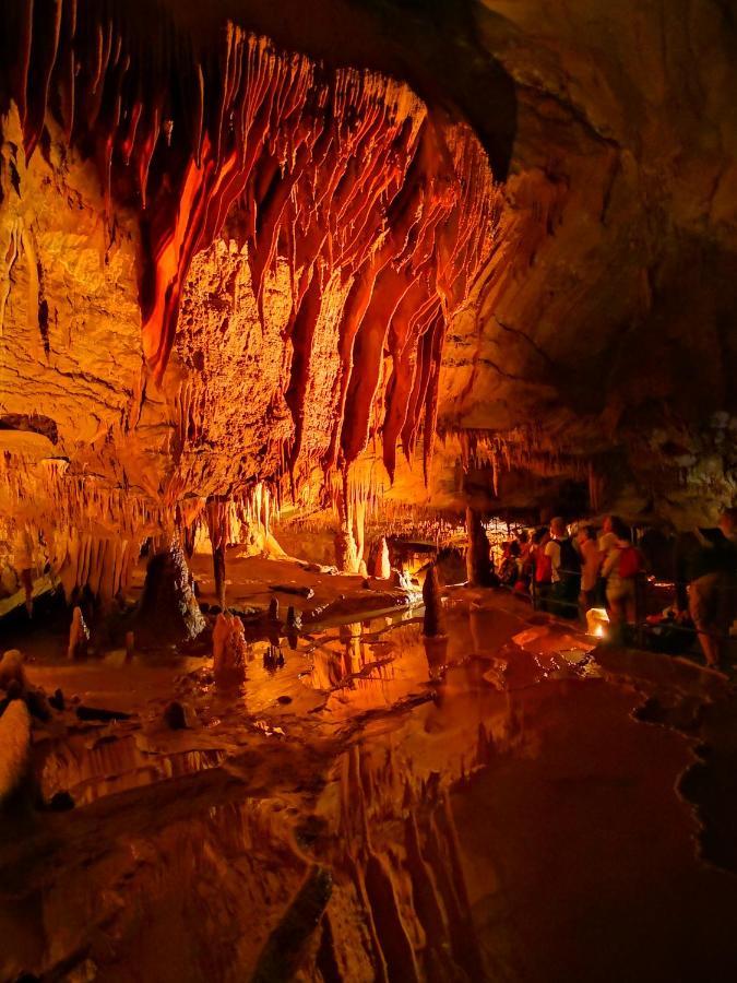 Magnifique gite en pierres 6 personnes avec piscine privee Ardeche plein sud Lablachère Exterior foto